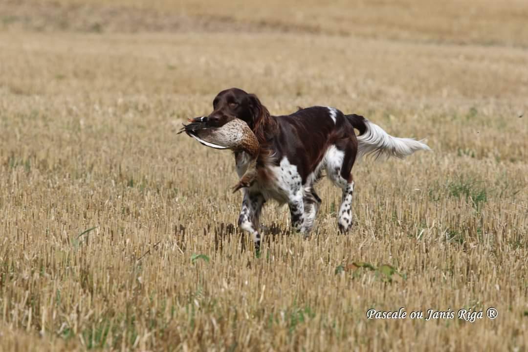 Photo de WELCOME DU RY POUCET 