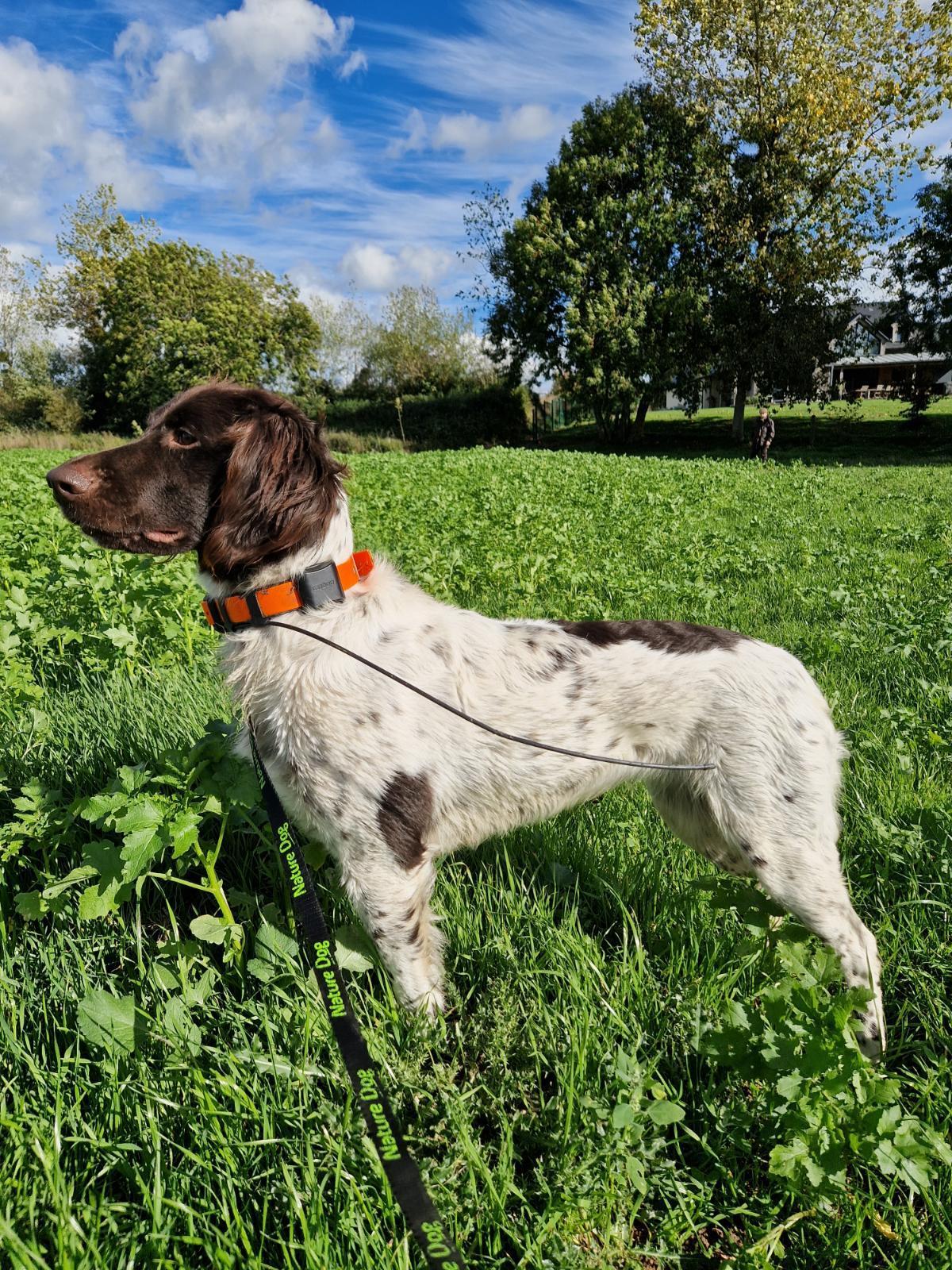 Photo de RÊVE DE WACOURT